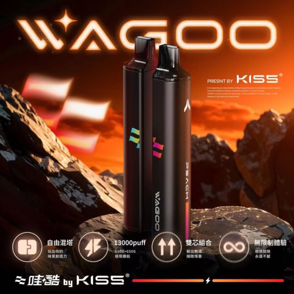 WAGOO哇酷拋棄式13000口🪄口味組合多達66種(任選10組送一組口味請備註)